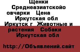 Щенки Среднеазиатскойо овчарки › Цена ­ 6 000 - Иркутская обл., Иркутск г. Животные и растения » Собаки   . Иркутская обл.
